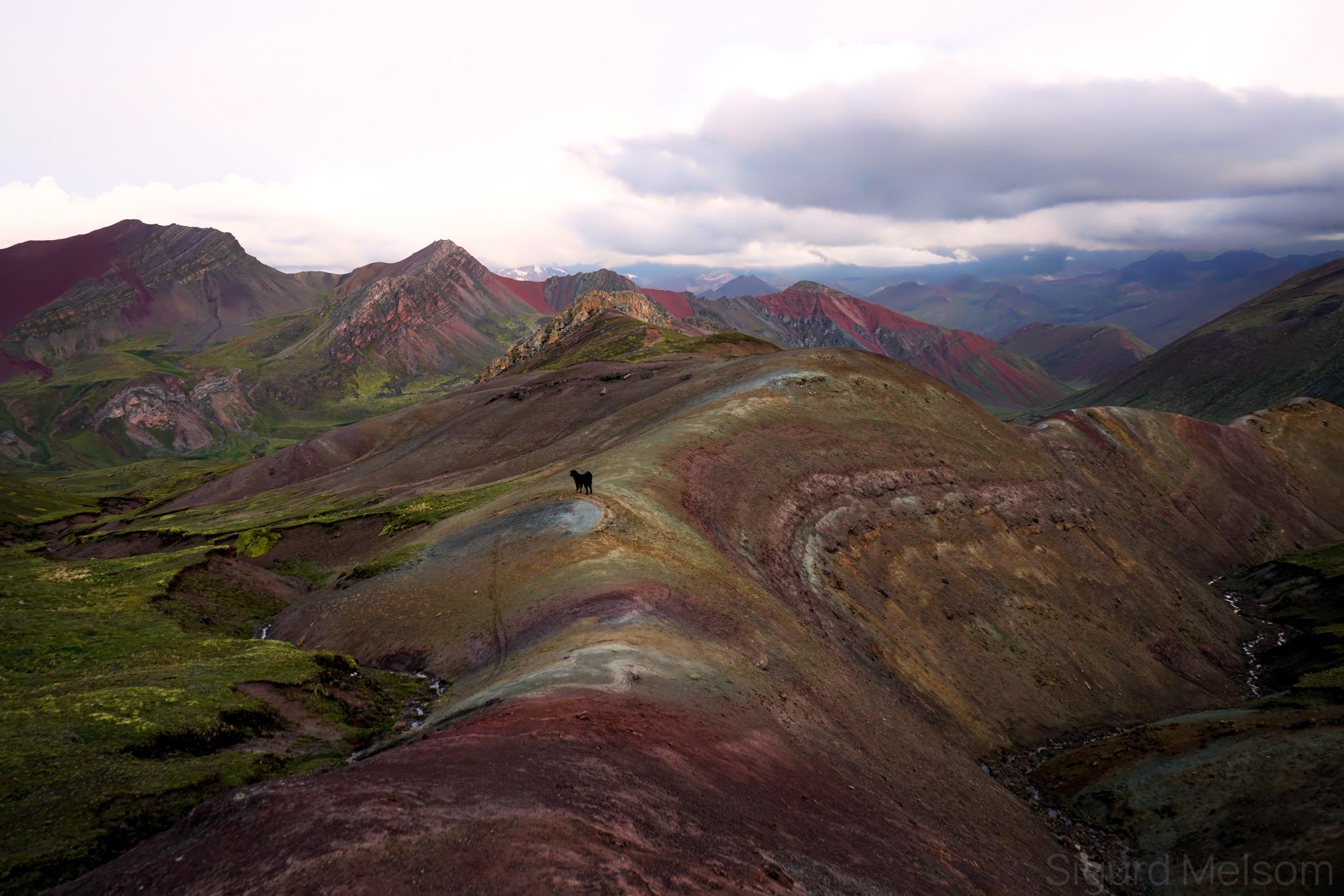 Illustrasjon av ulike ingredienser